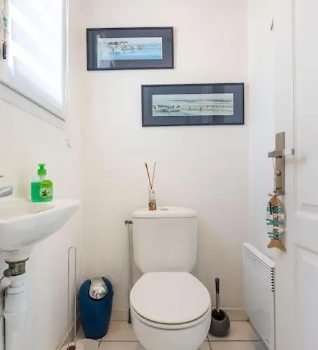 Bassin Arcachon, Mais. 3 Etoiles, Spa, 500 M Vakantiehuis